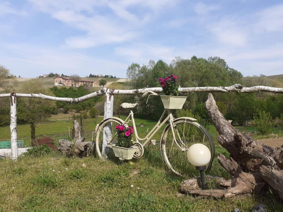 I Boidi Apartment Nizza Monferrato Bagian luar foto
