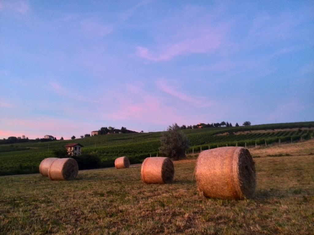 I Boidi Apartment Nizza Monferrato Bagian luar foto