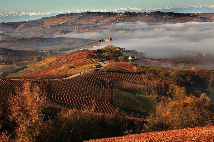 I Boidi Apartment Nizza Monferrato Bagian luar foto