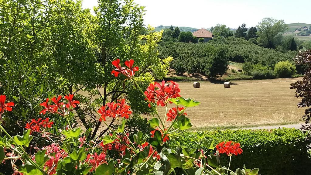 I Boidi Apartment Nizza Monferrato Bagian luar foto